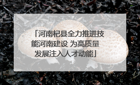 河南杞县全力推进技能河南建设 为高质量发展注入人才动能