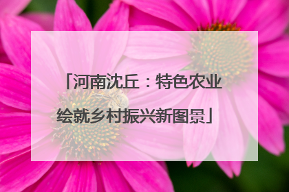 河南沈丘：特色农业绘就乡村振兴新图景