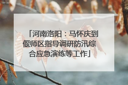 河南洛阳：马怀庆到偃师区指导调研防汛综合应急演练等工作