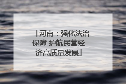 河南：强化法治保障 护航民营经济高质量发展