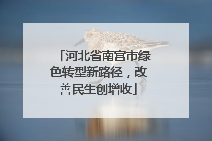 河北省南宫市绿色转型新路径，改善民生创增收