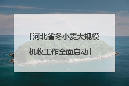 河北省冬小麦大规模机收工作全面启动