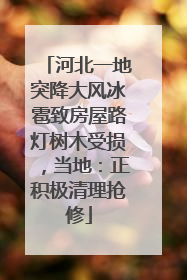 河北一地突降大风冰雹致房屋路灯树木受损，当地：正积极清理抢修