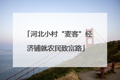 河北小村“麦客”经济铺就农民致富路