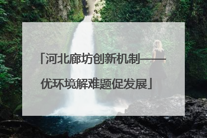河北廊坊创新机制——优环境解难题促发展
