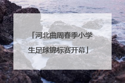 河北曲周春季小学生足球锦标赛开幕
