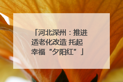 河北深州：推进适老化改造 托起幸福“夕阳红”