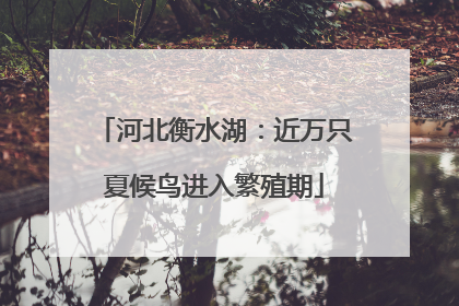 河北衡水湖：近万只夏候鸟进入繁殖期