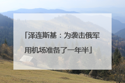 泽连斯基：为袭击俄军用机场准备了一年半