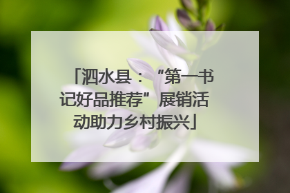 泗水县：“第一书记好品推荐”展销活动助力乡村振兴