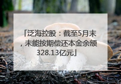 泛海控股：截至5月末，未能按期偿还本金余额328.13亿元