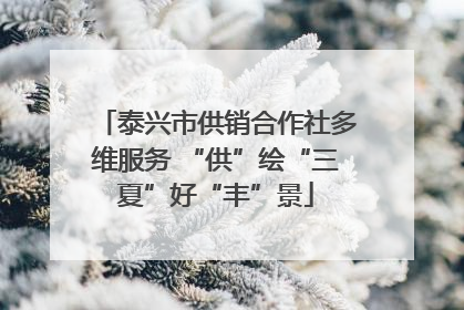 泰兴市供销合作社多维服务 “供”绘“三夏”好“丰”景