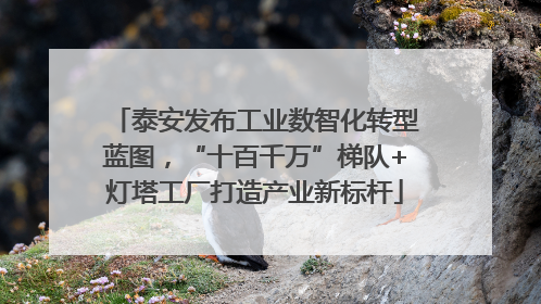 泰安发布工业数智化转型蓝图，“十百千万”梯队+灯塔工厂打造产业新标杆