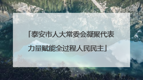 泰安市人大常委会凝聚代表力量赋能全过程人民民主