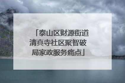 泰山区财源街道清真寺社区聚智破局家政服务痛点