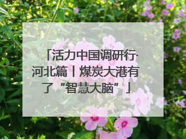 活力中国调研行·河北篇丨煤炭大港有了“智慧大脑”