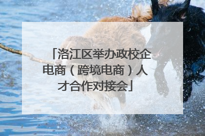 洛江区举办政校企电商（跨境电商）人才合作对接会