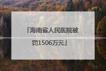 海南省人民医院被罚1506万元