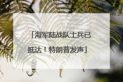 海军陆战队士兵已抵达！特朗普发声