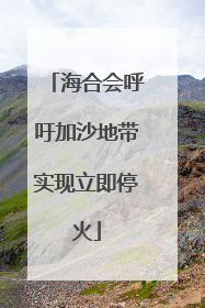 海合会呼吁加沙地带实现立即停火