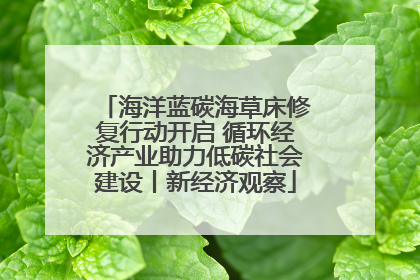 海洋蓝碳海草床修复行动开启 循环经济产业助力低碳社会建设丨新经济观察