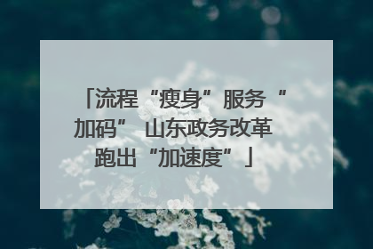 流程“瘦身”服务“加码” 山东政务改革跑出“加速度”