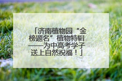 济南植物园“金榜题名”植物特辑——为中高考学子送上自然祝福！