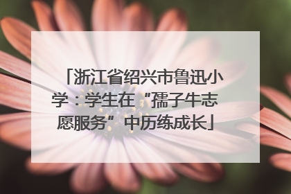 浙江省绍兴市鲁迅小学：学生在“孺子牛志愿服务”中历练成长