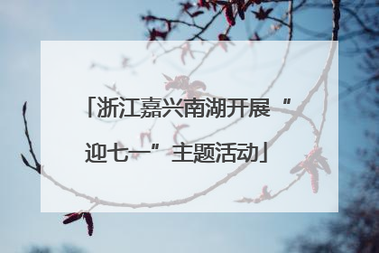 浙江嘉兴南湖开展“迎七一”主题活动