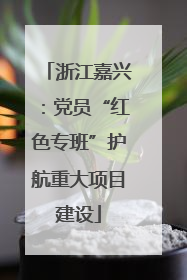 浙江嘉兴：党员“红色专班”护航重大项目建设