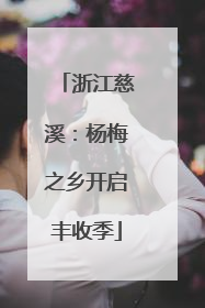 浙江慈溪：杨梅之乡开启丰收季
