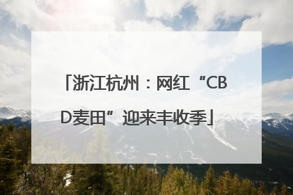 浙江杭州：网红“CBD麦田”迎来丰收季