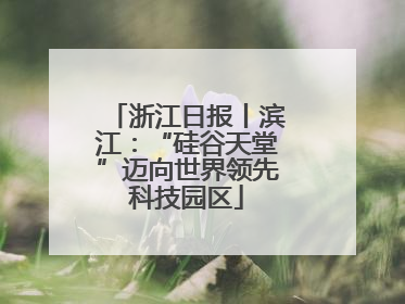 浙江日报丨滨江：“硅谷天堂”迈向世界领先科技园区