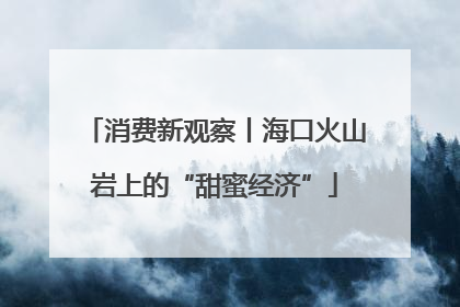 消费新观察丨海口火山岩上的“甜蜜经济”