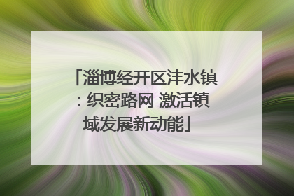 淄博经开区沣水镇：织密路网 激活镇域发展新动能