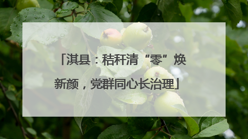 淇县：秸秆清“零”焕新颜，党群同心长治理