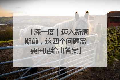 深一度｜迈入新周期前，这四个问题需要国足给出答案