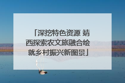 深挖特色资源 靖西探索农文旅融合绘就乡村振兴新图景