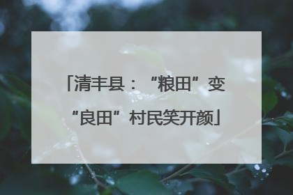 清丰县：“粮田”变“良田”村民笑开颜