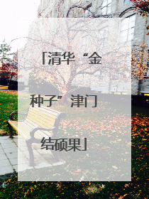 清华“金种子”津门结硕果
