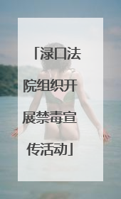 渌口法院组织开展禁毒宣传活动
