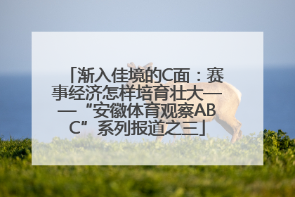 渐入佳境的C面：赛事经济怎样培育壮大——“安徽体育观察ABC”系列报道之三