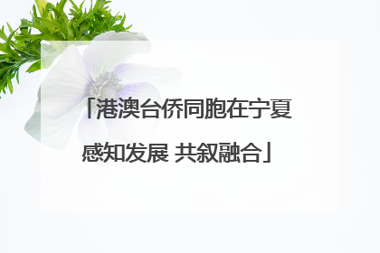 港澳台侨同胞在宁夏感知发展 共叙融合