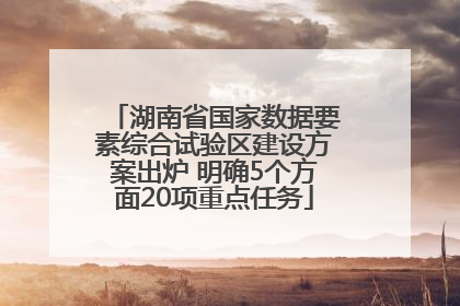 湖南省国家数据要素综合试验区建设方案出炉 明确5个方面20项重点任务