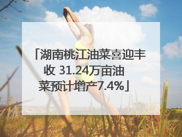 湖南桃江油菜喜迎丰收 31.24万亩油菜预计增产7.4%