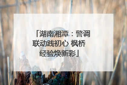 湖南湘潭：警调联动践初心 枫桥经验焕新彩
