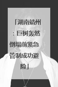 湖南靖州：巨树轰然倒塌前紧急管制成功避险
