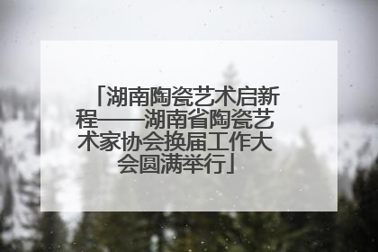 湖南陶瓷艺术启新程——湖南省陶瓷艺术家协会换届工作大会圆满举行