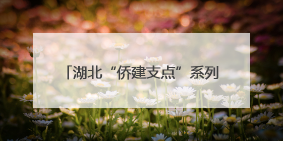 湖北“侨建支点”系列活动助力鄂州连通海外