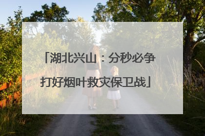 湖北兴山：分秒必争 打好烟叶救灾保卫战